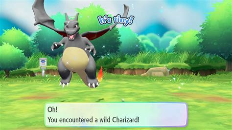 catch combo pokemon let's go|pokemon let's go switch.